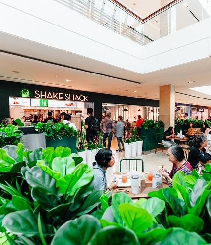 Shake Shack  Now Open
