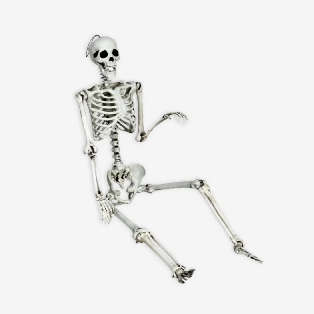 skeleton